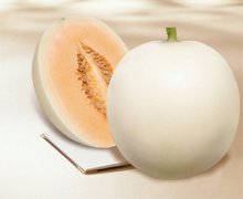 蔬菜种子甜瓜栽培-[甜瓜种子]白皮甜瓜瓜品种成熟后果面形成绿色硬