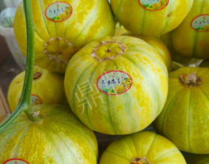 蔬菜种子种植户客户点评-这个甜瓜熟透了都不裂瓜，在新疆卖14元每公斤！